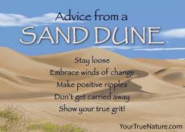 dune 3