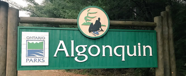algonquin-park-header